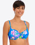 Freya Hot Tropics Sweetheart Bikini Top Blue