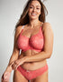 Panache Allure Full Cup Bra Coral