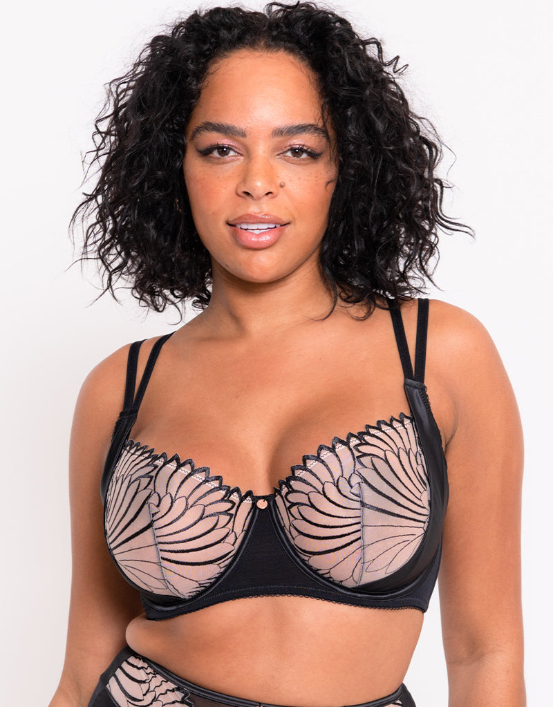 Curvy Kate Scantilly Indulgence Lace Body - Uplift Intimate Apparel