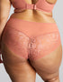 Sculptresse by Panache Dream High Waist Brief Rose Pink