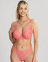 Cleo By Panache Alexis Brazilian Brief Sunkiss Coral