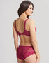 Panache Envy Full Cup Bra Orchid