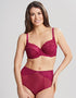 Panache Envy Full Cup Bra Orchid